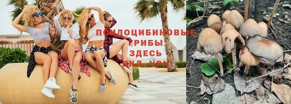 винт Дмитровск