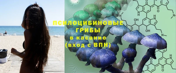 винт Дмитровск