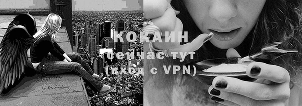 кокс Дмитров