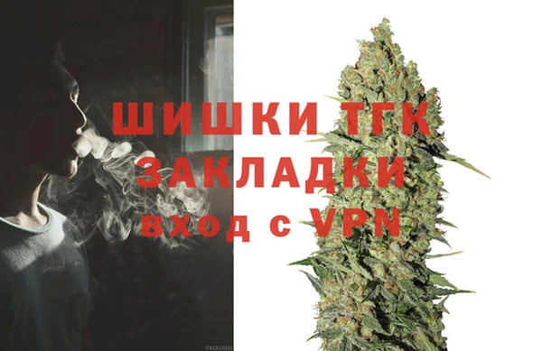 дмт Дмитриев