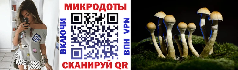 Галлюциногенные грибы мицелий  сколько стоит  Осташков 